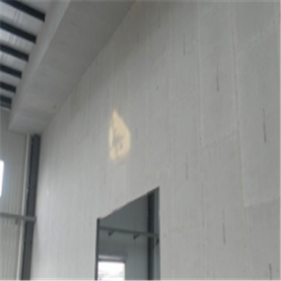 乐业新型建筑材料掺多种工业废渣的ALC|ACC|FPS模块板材轻质隔墙板